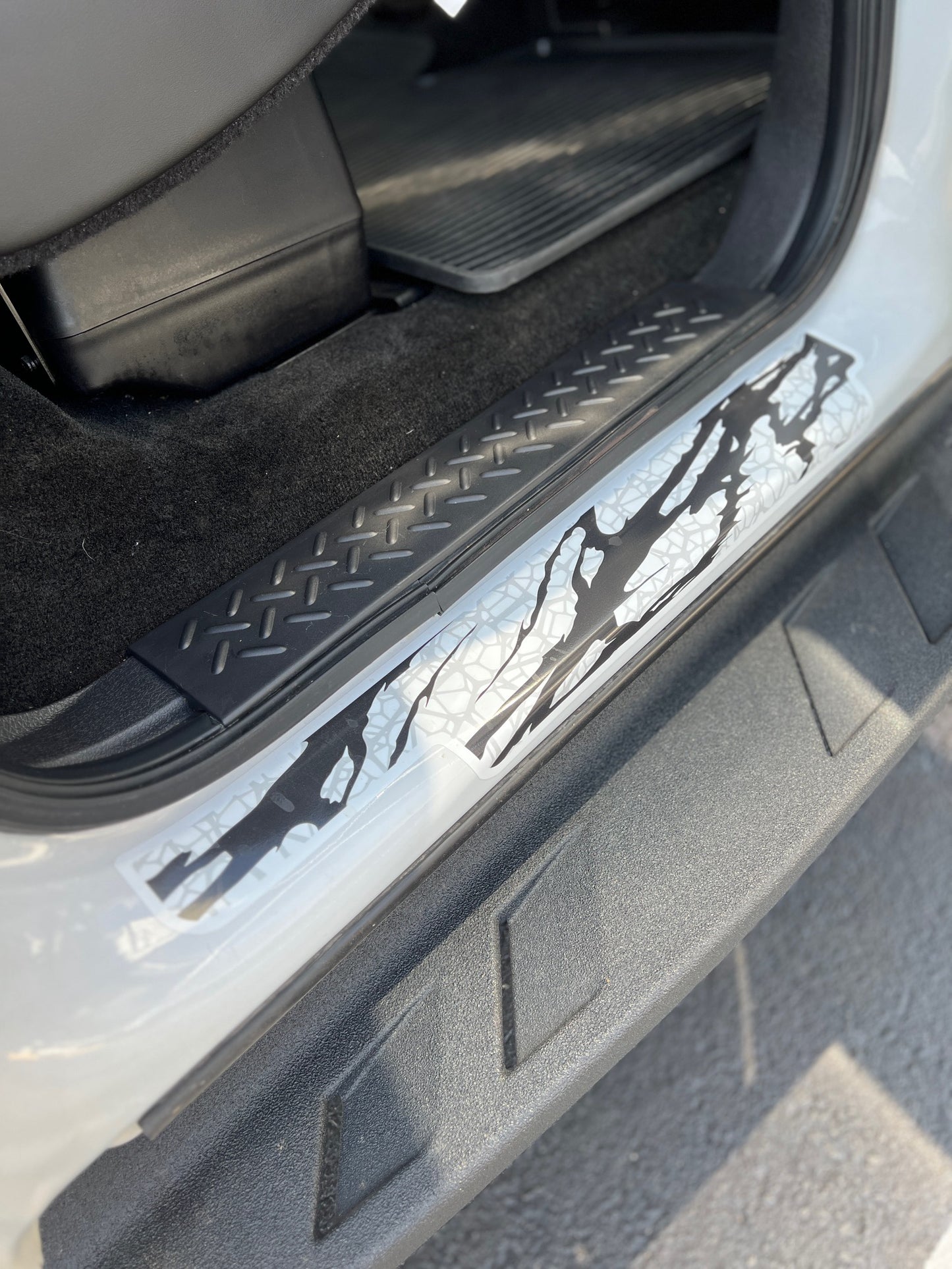 2010-2014 F150 & Raptor Door Guard Graphic Kit